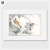 アートポスター-Common Sandpiper and Wild Rose
 - 鳥類図鑑 Poster.