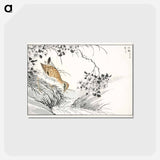 アートポストカード-Common Sandpiper and Wild Rose
 - 鳥類図鑑 Postcard.