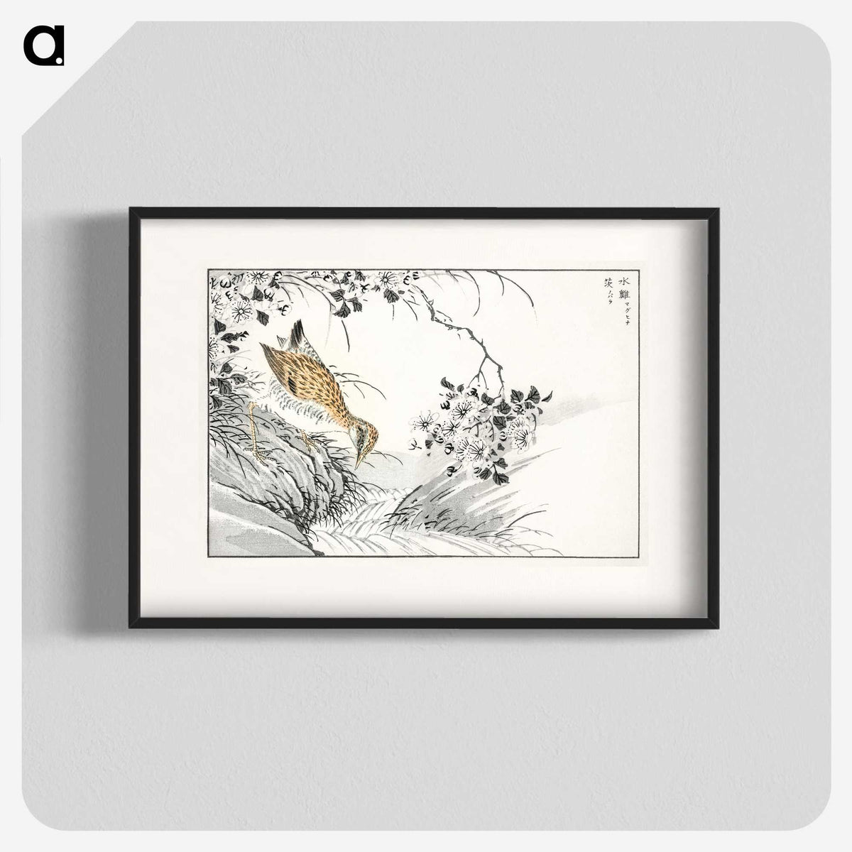 1-96_Pictorial-Monograph-of-Birds_blk