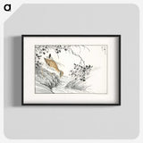 1-96_Pictorial-Monograph-of-Birds_blk