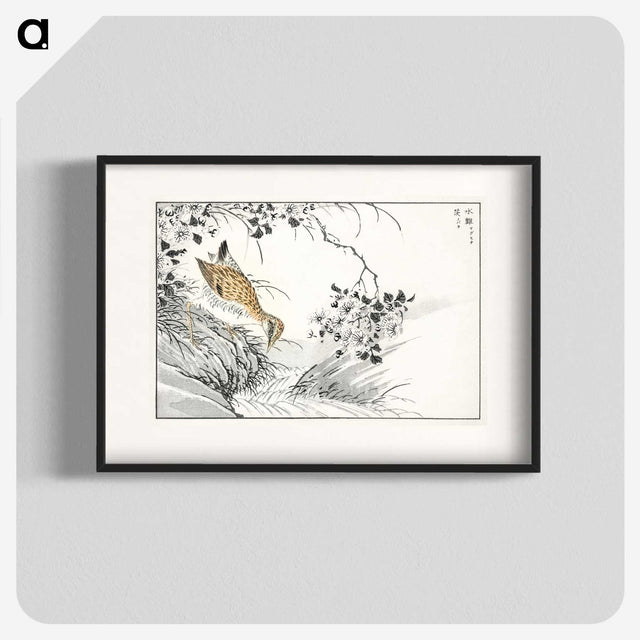 1-96_Pictorial-Monograph-of-Birds_blk