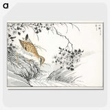1-96_Pictorial-Monograph-of-Birds_picture-crop