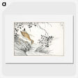 1-96_Pictorial-Monograph-of-Birds_picture