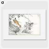 1-96_Pictorial-Monograph-of-Birds_picture
