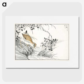 1-96_Pictorial-Monograph-of-Birds_picture