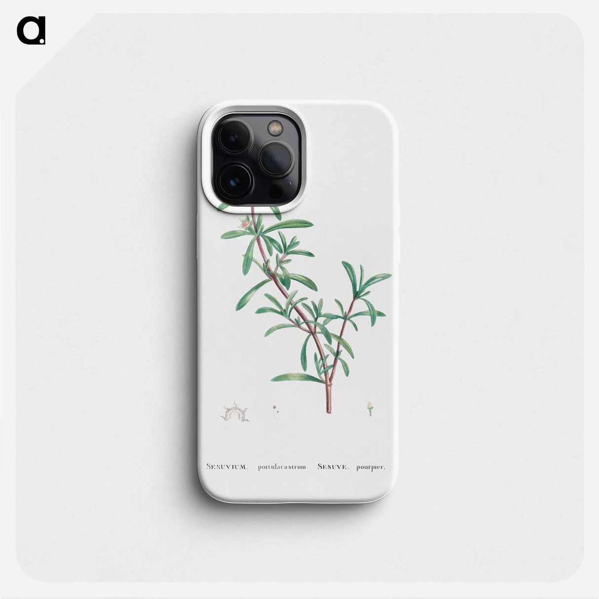 Sesuvium Portulacastrum (Sea Purslane) - Pierre Joseph Redouté Phone Case.