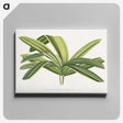 1-96_Plants-with-Colored-Foliage_canvas