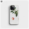 1-96_Pomona-Italiana_phone