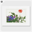 1-96_Seiyo-Soka-Zufu_picture