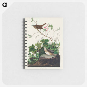 アートメモ帳-Lincoln Finch from Birds of America
 - アメリカの鳥たち Memo.