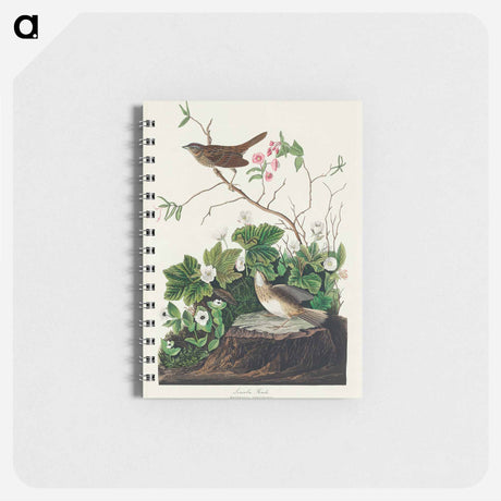 アートメモ帳-Lincoln Finch from Birds of America
 - アメリカの鳥たち Memo.