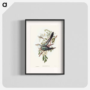 オーストラリア