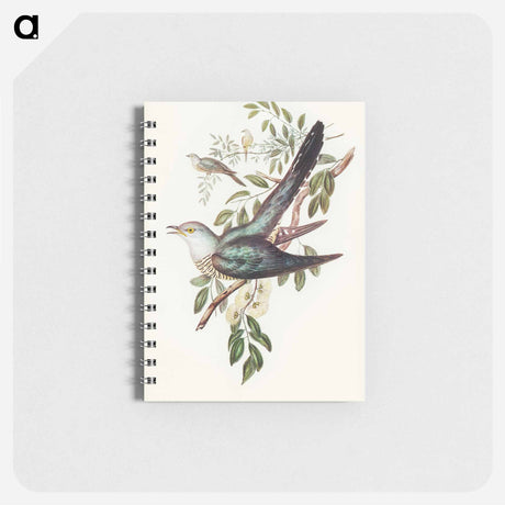 アートメモ帳-Australian Cuckoo
 - オーストラリアの鳥 Memo.