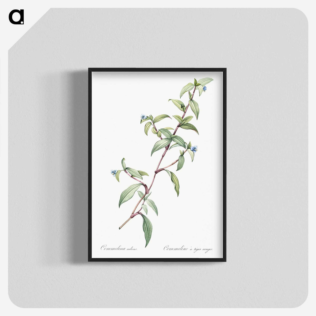 1-96_The-Lilies_blk-crop