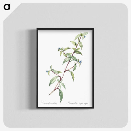 1-96_The-Lilies_blk-crop