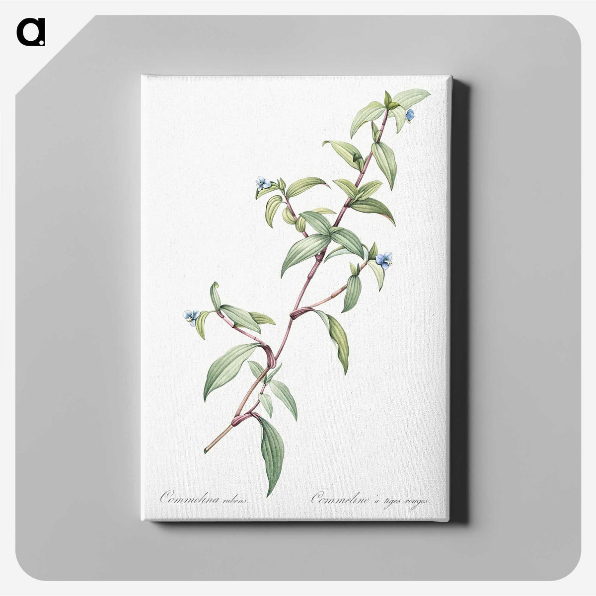 1-96_The-Lilies_canvas
