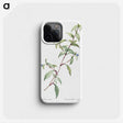1-96_The-Lilies_phone