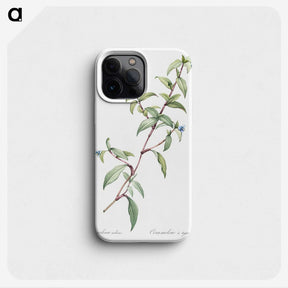 1-96_The-Lilies_phone