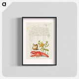 アートポスター-Insect, English Walnut, Saint John's Wort, and Crayfish
 - 書道のお手本 Poster.