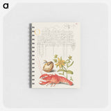 アートメモ帳-Insect, English Walnut, Saint John's Wort, and Crayfish
 - 書道のお手本 Memo.