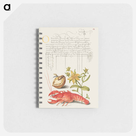 アートメモ帳-Insect, English Walnut, Saint John's Wort, and Crayfish
 - 書道のお手本 Memo.