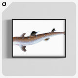 1-96_The-Natural-History-of-British-Fishes_blk-crop