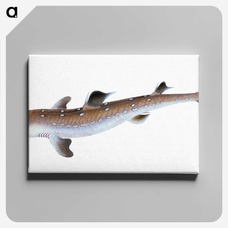 1-96_The-Natural-History-of-British-Fishes_canvas