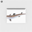 1-96_The-Natural-History-of-British-Fishes_memo