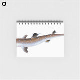 1-96_The-Natural-History-of-British-Fishes_memo