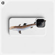 1-96_The-Natural-History-of-British-Fishes_phone