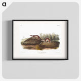 1-96_The-Viviparous-Quadrupeds_blk