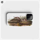 1-96_The-Viviparous-Quadrupeds_phone