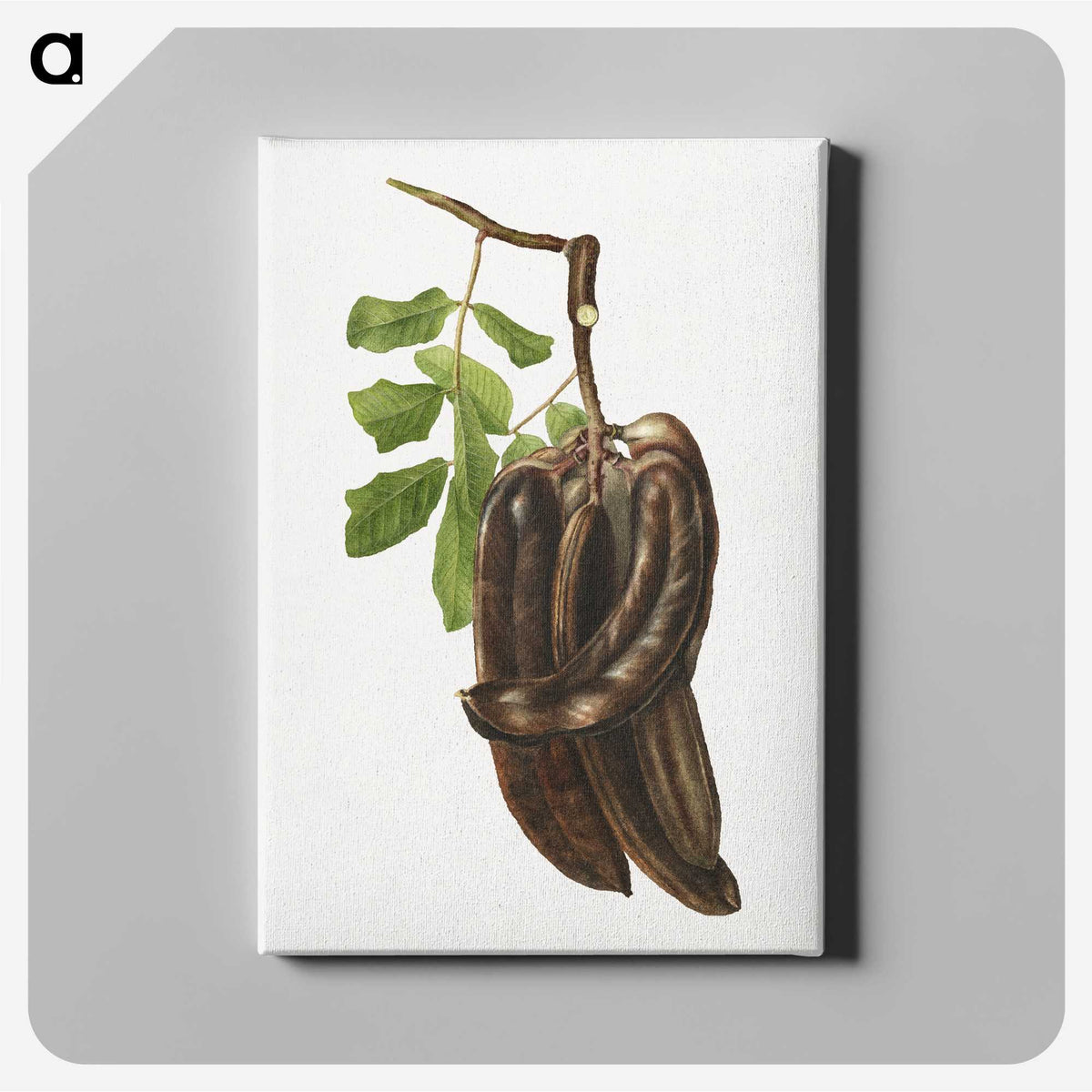 1-96_USDA-Watercolor-Fruit-Painting-Collection_canvas