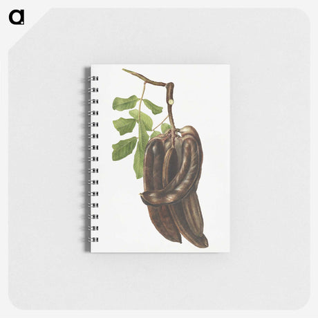 1-96_USDA-Watercolor-Fruit-Painting-Collection_memo