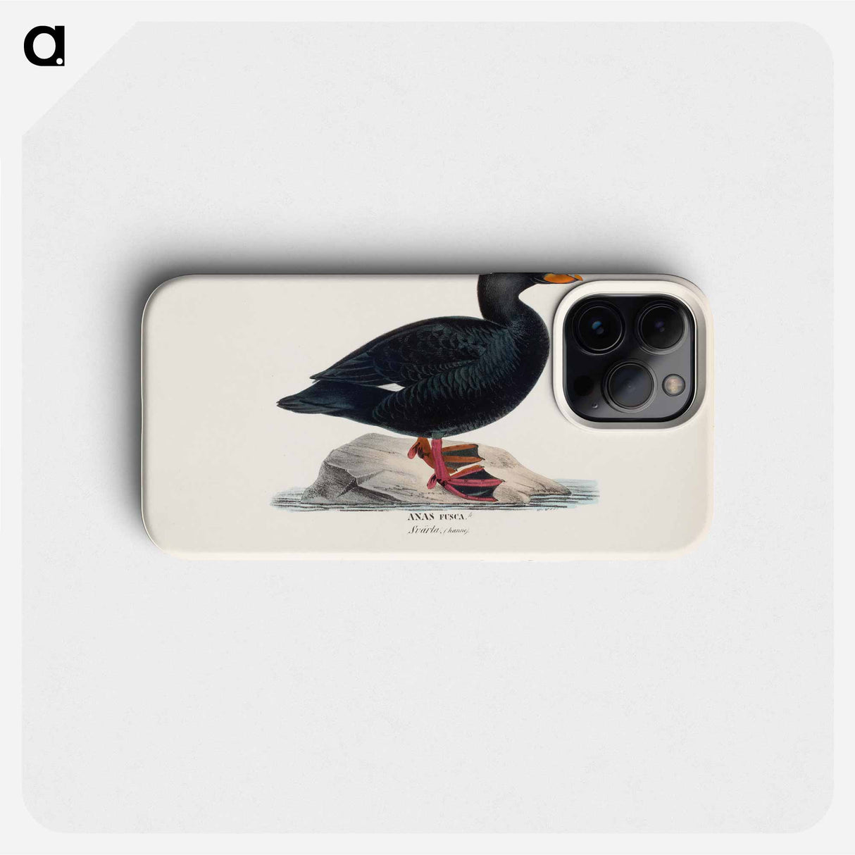 Male velvet scoter - Wilhelm von Wright Phone Case.