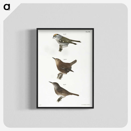 1-96_Zoology-of-New-York_blk-crop