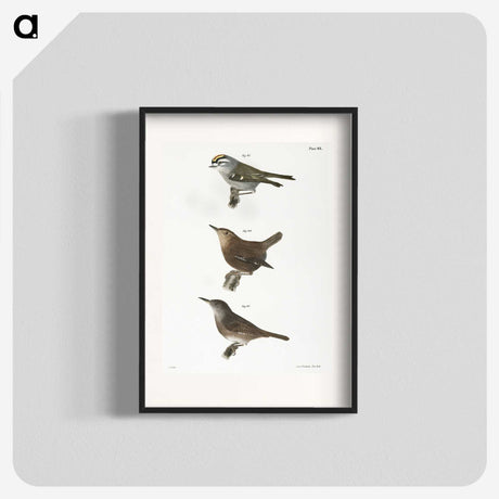 1-96_Zoology-of-New-York_blk