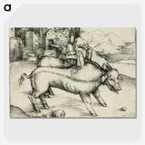 1-97_Albrecht-Durer_picture-crop