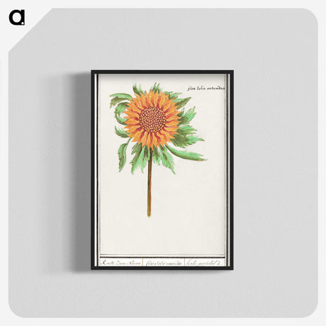 1-97_Anselmus-Boetius-de-Boodt_blk-crop