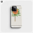 1-97_Anselmus-Boetius-de-Boodt_phone