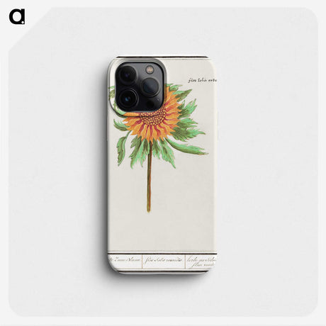 1-97_Anselmus-Boetius-de-Boodt_phone