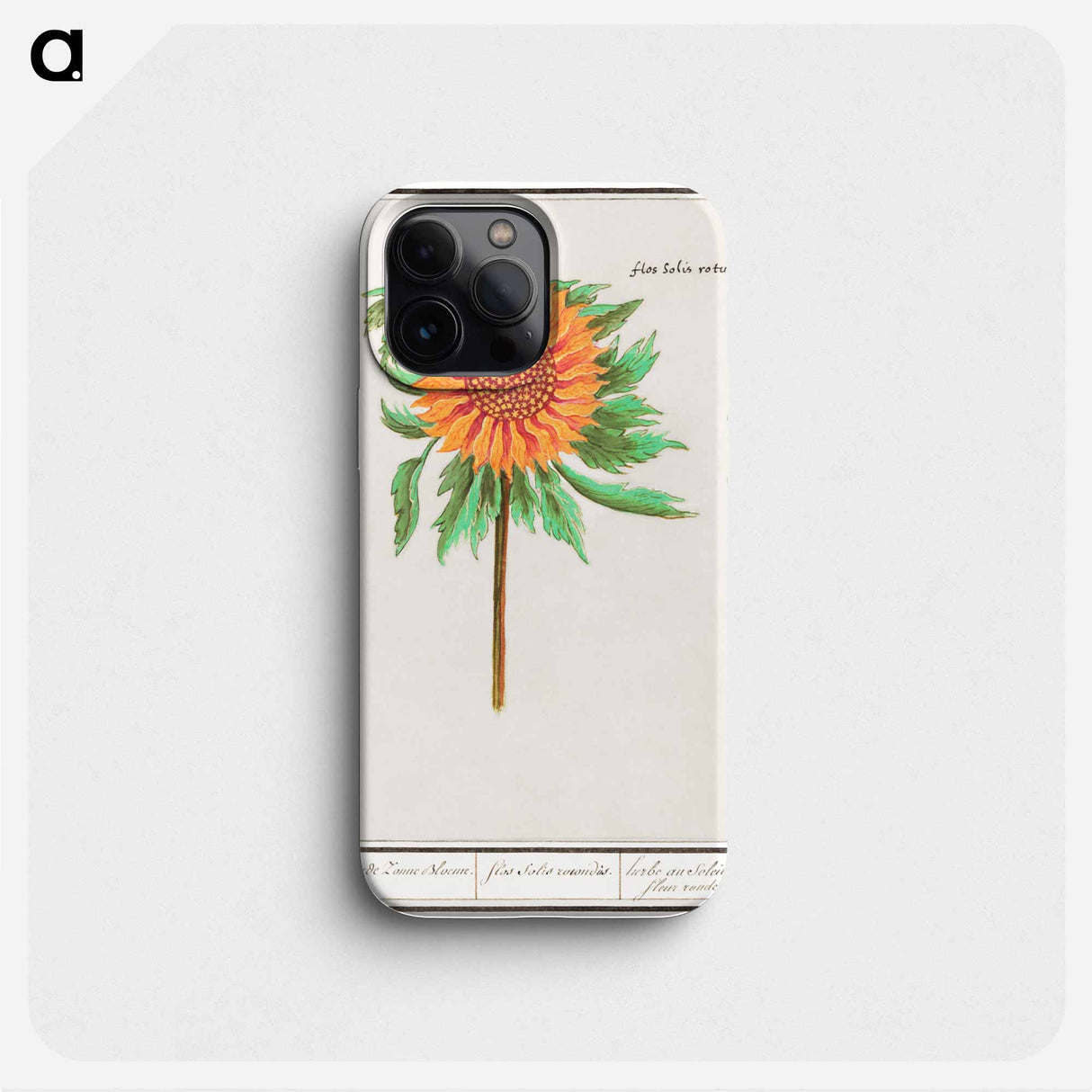Sunflower - アンセルムス ボエティウス デ ブート Phone Case.