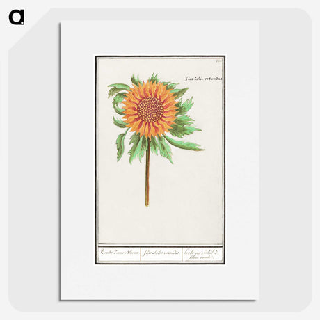 1-97_Anselmus-Boetius-de-Boodt_picture
