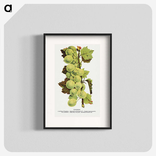 1-97_Botanical-Specimen-Plates_blk