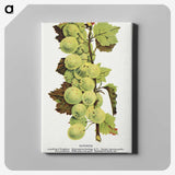 1-97_Botanical-Specimen-Plates_canvas