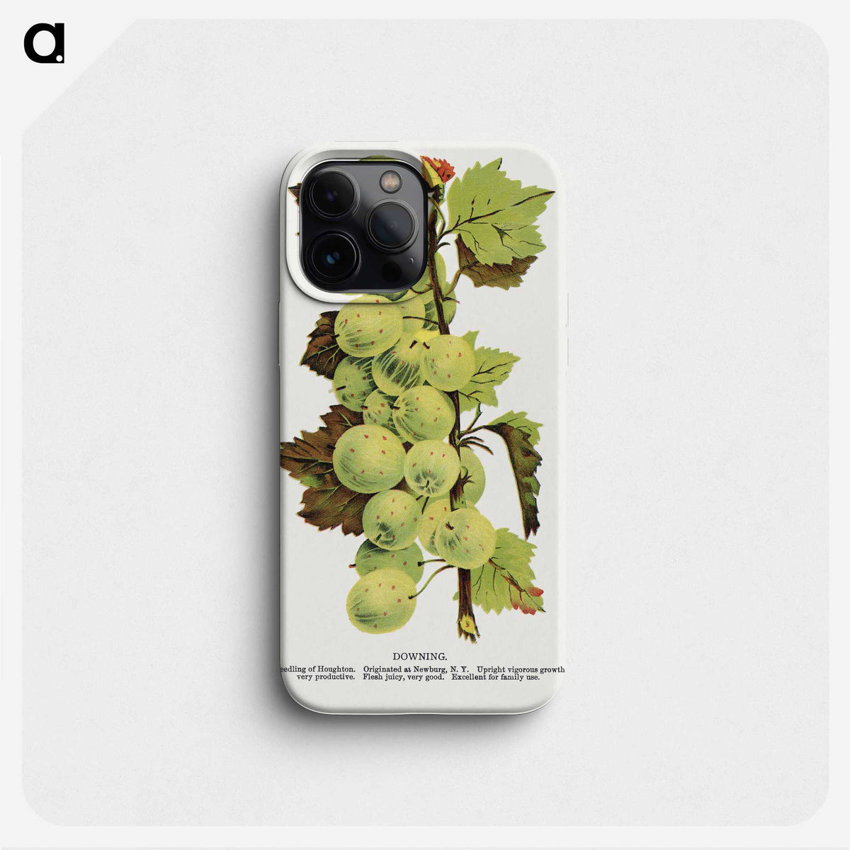 1-97_Botanical-Specimen-Plates_phone