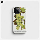 1-97_Botanical-Specimen-Plates_phone
