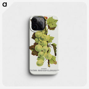 1-97_Botanical-Specimen-Plates_phone