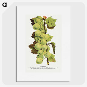 1-97_Botanical-Specimen-Plates_picture