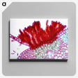 1-97_COVID-19_canvas